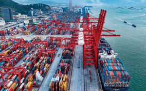 China PVA export overview in February