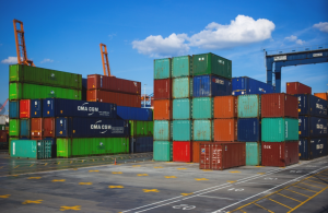 china pva export may